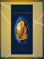 Lecture Management information systems - Chater 14: Enterprise and global management of information technology