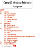 Lecture E-commerce and e-business for managers - Chapter 10: E-customer relationship management