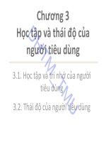 Bài giảng Hành vi khách hàng: Chương 3 - Đại học Thương mại