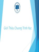 Bài giảng Hệ thống thông tin quản lý: Giới thiệu chương trình học - GV. Nguyễn Mạnh Tuấn