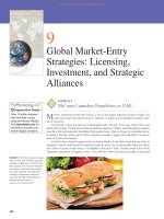 Ebook Global marketing (8th edition): Part 2
