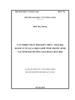 Luận án tiến sĩ Y học: Can thiệp thay đổi kiến thức, thái độ, hành vi về lựa chọn giới tính trước sinh tại tỉnh Hải Dương giai đoạn 2013-2016