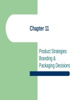 Lecture International marketing: Strategy and theory - Chapter 11: Product strategies: Branding & packaging decisions