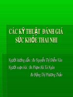 Bài giảng Các kỹ thuật đánh giá sức khỏe thai nhi - BS. Phạm Hà Tú Ngân