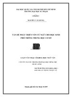 Luận án Thạc sĩ Khoa học ngữ văn: Vấn đề phát triển vốn từ ngữ cho học sinh phổ thông trung học cơ sở