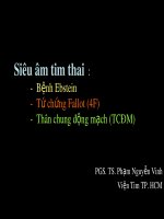 Bài giảng Siêu âm tim thai: Bệnh Ebstein, tứ chứng Fallot, thân chung động mạch - PGS.TS Phạm Nguyễn Vinh