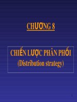 Bài giảng Marketing căn bản: Chương 8 - ThS. Nguyễn Văn Trưng