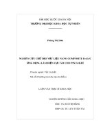 Luận văn Thạc sĩ Khoa học: Nghiên cứu chế tạo vật liệu nano composite Fe2O3/C ứng dụng làm điện cực âm cho pin Fe - khí