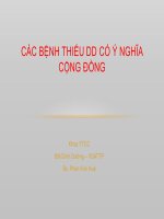 Bài giảng Bộ môn Dinh dưỡng: Các bệnh thiếu dinh dưỡng có ý nghĩa cộng đồng - BS. Phan Kim Huệ