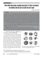 Tình hình ứng dụng thương mại điện tử trên facebook và những vấn đề đặt ra đối với Việt Nam