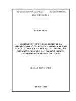 Luận án Tiến sĩ Y học: Nghiên cứu thực trạng bệnh tật và hiệu quả một số giải pháp chăm sóc y tế cho người cai nghiện ma túy tại các Trung tâm chữa bệnh giáo dục lao động xã hội của thành