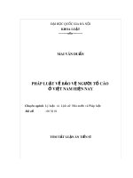 Tóm tắt luận văn Thạc sỹ Luật học: Pháp luật về bảo vệ người tố cáo ở Việt Nam hiện nay