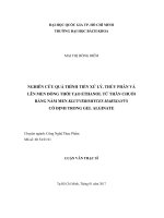 Nghiên cứu quá trình tiền xử lý, thủy phân và lên men đồng thời tạo ethanol từ thân chuối bằng nấm men kluyveromyces marxianus cố định trong gel alginate