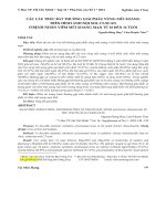 Các cấu trúc bất thường giải phẫu vùng mũi xoang trên hình ảnh nội soi, CT Scan ở bệnh nhân viêm mũi xoang mạn từ 10 đến 16 tuổi