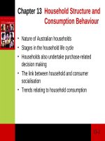 Lecture Consumer behaviour: Chapter 13 - Cathy Neal, Pascale Quester, Del Hawkins