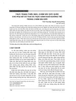 Thực trạng thiếu máu, chăm sóc sức khỏe cho phụ nữ có thai và thực hành nuôi dưỡng trẻ trong 2 năm đầu đời