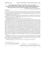 Đặc điểm dịch tễ học, lâm sàng, cận lâm sàng của xuất huyết não - màng não ở trẻ sơ sinh non tháng nhẹ cân dưới 15 ngày tuổi tại Bệnh viện Nhi Đồng 1