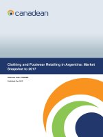 Ebook Clothing and Footwear Retailing in Argentina: Market Snapshot to 2017