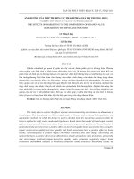 Ảnh hưởng của tiếp thị đến các thành phần giá trị thương hiệu: Nghiên cứu trong ngành nước giải khát
