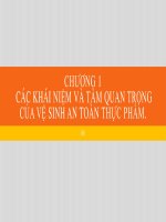 Bài giảng Vệ sinh an toàn thực phẩm: Chương 1 (tt) - Lê Thùy Linh