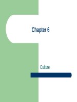 Lecture International marketing: Strategy and theory - Chapter 6: Culture