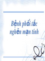 Bài giảng Bệnh phổi tắc nghẽn mãn tính (COPD)
