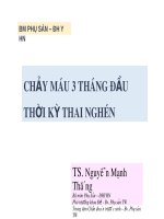 Bài giảng Chảy máu 3 tháng đầu thời kỳ thai nghén - TS. Nguyễn Mạnh Thắng