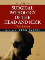 Ebook Surgical pathology of the head and neck (Vol 1 - 3/E): Part 1