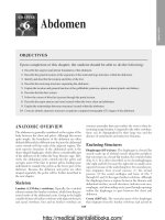 Ebook Introduction to sectional anatomy (3rd edition): Part 2