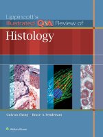 Ebook Lippincott’s  illustrated review of histology: Part 1