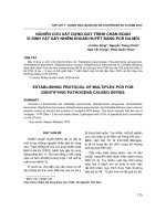 Nghiên cứu xây dựng quy trình chẩn đoán vi sinh vật gây nhiễm khuẩn huyết bằng PCR đa mồi