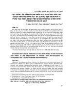 Đặc điểm lâm sàng bệnh nhân mất da cẳng bàn tay được điều trị bằng vạt da cuống bẹn tại  Khoa Vi phẫu Tạo hình, Bệnh viện Chấn thương Chỉnh hình thành phố Hồ Chí Minh