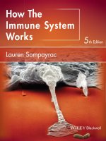 Ebook How the immune system works (5th edition): Part 1