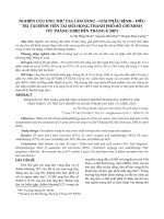 Nghiên cứu ung thư tai: Lâm sàng - giải phẫu bệnh - điều trị tại bệnh viện tai mũi họng Thành phố Hồ Chí Minh (từ tháng 1/2002 đến tháng 4/2007)