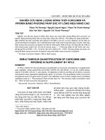 Nghiên cứu định lượng đồng thời curcumin và piperin bằng phương pháp sắc ký lỏng hiệu năng cao