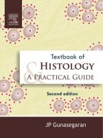 Ebook Textbook of histology and a practical guide (2/E): Part 1