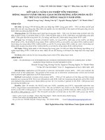 Kết quả 1 năm can thiệp tổn thương động mạch vành trung gian dưới hướng dẫn phân suất dự trữ lưu lượng động mạch vành (FFR)