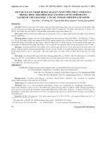 Kết quả can thiệp động mạch vành tiên phát (thì đầu) trong điều trị nhồi máu cơ tim cấp st chênh lên tại Bệnh viện Đại học Y Dược Thành phố Hồ Chí Minh