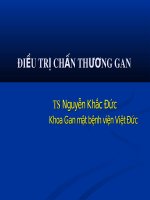 Bài giảng Điều trị chấn thương gan - TS. Nguyễn Khắc Đức