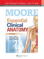 Ebook Essential clinical anatomy (5th edition): Part 1