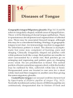 Ebook Differential diagnosis of dental diseases: Part 2