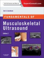 Ebook Fundamentals of musculoskeletal ultrasound (2nd edition): Part 1