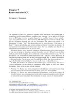 Ebook The itensivist''s challenge: Part 2