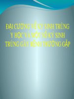 Bài giảng Đại cương về ký sinh trùng y học và một số ký sinh trùng gây bệnh thường gặp