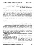 Viêm gan cấp do nhiễm cytomegalovirus trên bệnh nhân sốt kéo dài chưa rõ nguyên nhân