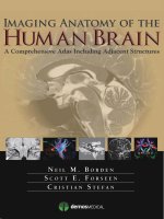 Ebook Imaging anatomy of the human brain: Part 1