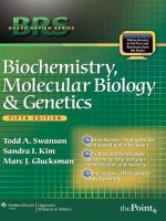 Ebook BRS Biochemistry, molecular biology and genetics (5th edition): Part 1