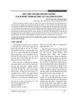 Độc tính lên nguyên bào xương của xi măng trám bít ống tủy calcium silicate