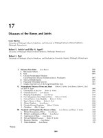 Ebook Surgical pathology of the head and neck (Vol 2 - 2/E): Part 2