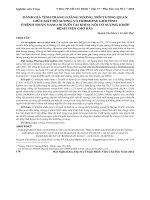 Đánh giá tình trạng loãng xương, mối tương quan giữa mật độ xương và hormone giới tính ở bệnh nhân nam ≥ 50 tuổi tại khoa nội cơ xương khớp Bệnh viện Chợ Rẫy